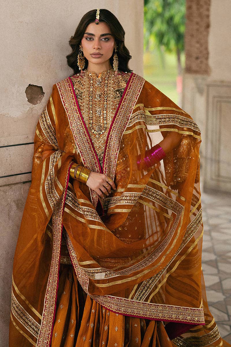 img_zarlish_by_mohsin_naveed_ranjha_awwal_boutique