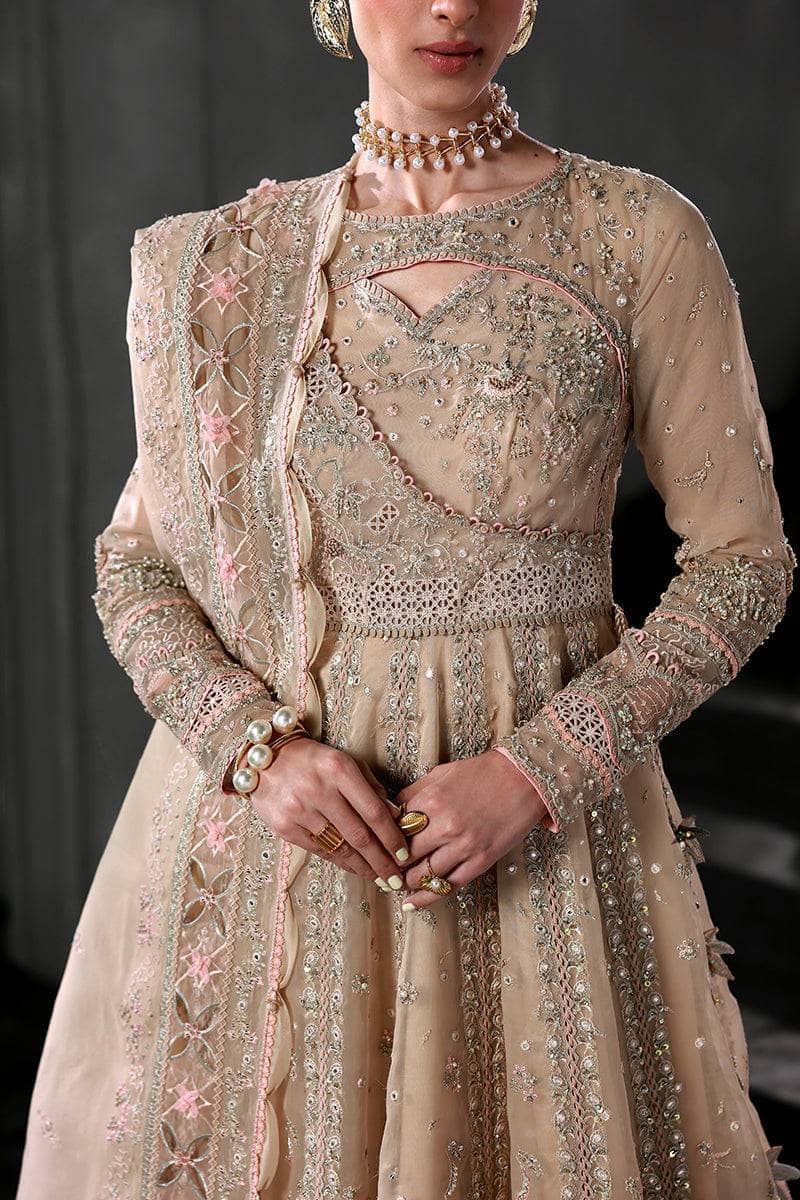 Qalamkar Elirah Wedding Formals 25/Hand Work/MF-01 LUSTRA