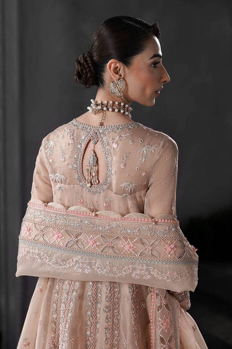 Qalamkar Elirah Wedding Formals 25/Hand Work/MF-01 LUSTRA