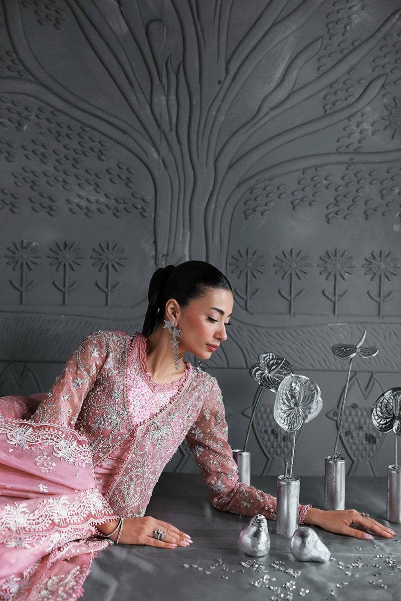 Qalamkar Elirah Wedding Formals 25/Hand Work/MF-07 ROSALYN