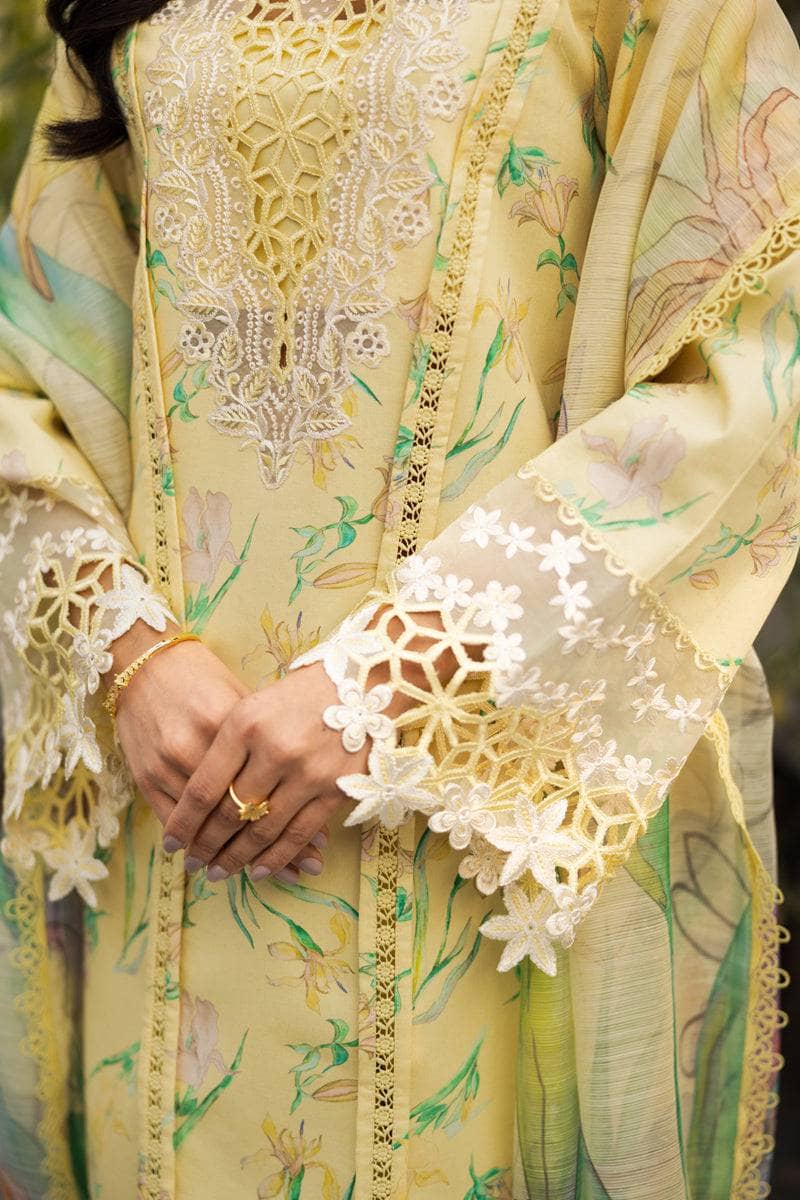 img_rang_rasiya_lifestyle_awwal_boutique