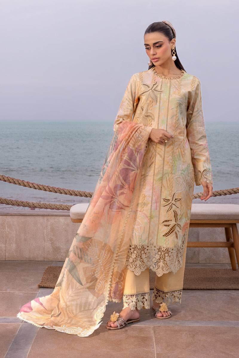 img_rang_rasiya_carnation_awwal_boutique