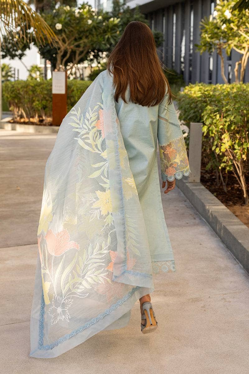 img_rang_rasiya_carnation_awwal_boutique