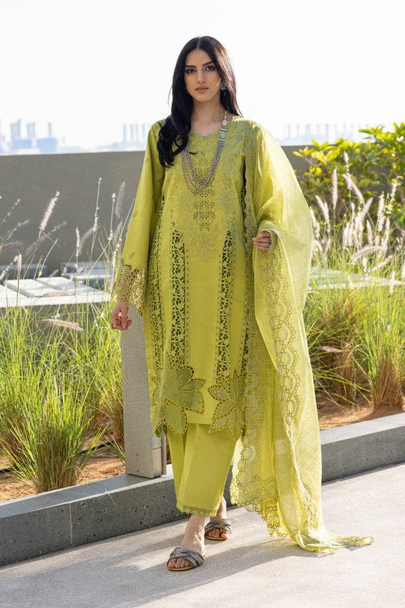 img_rang_rasiya_carnation_awwal_boutique