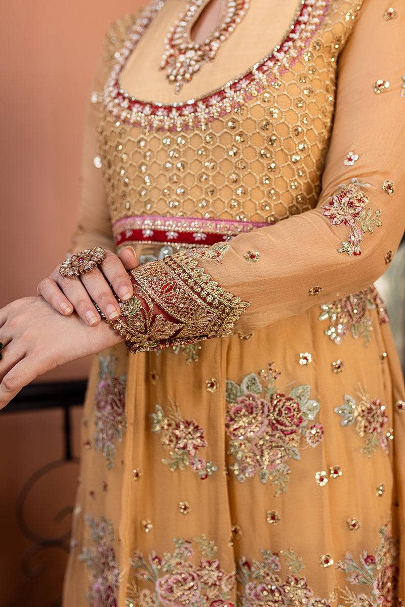 img_roheenaz_naira_chiffon_awwal_boutique