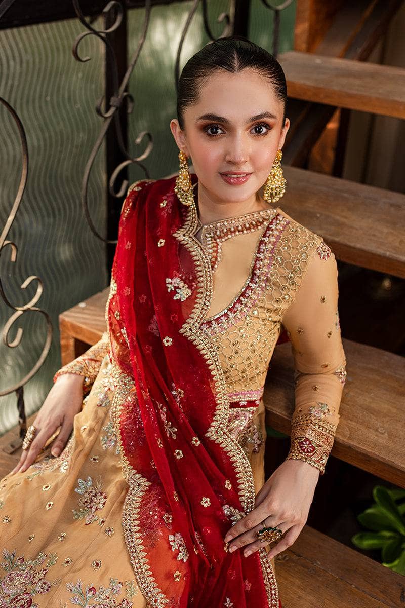 img_roheenaz_naira_chiffon_awwal_boutique