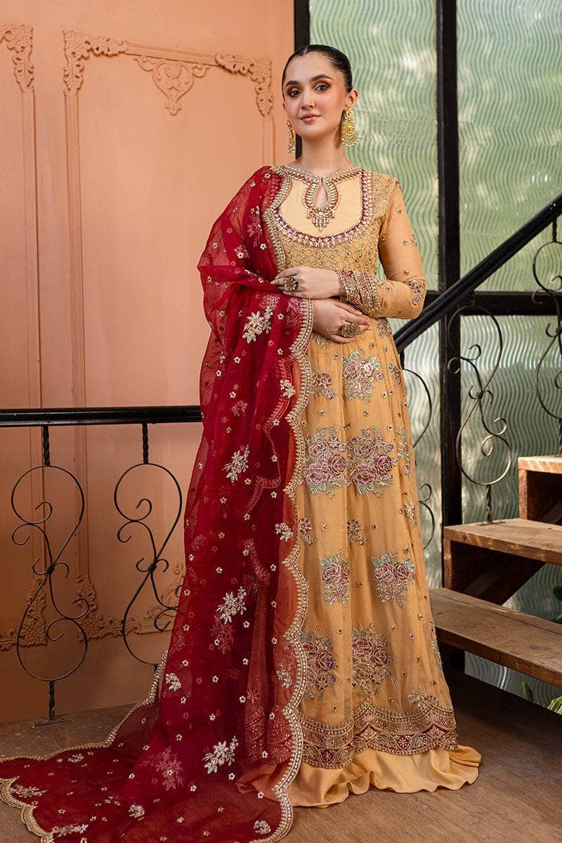 img_roheenaz_naira_chiffon_awwal_boutique