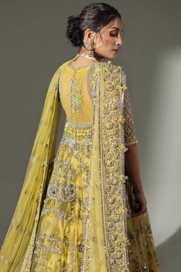Elan Chiffon Pakistani Suits Elan Wedding Couture 24/LIME BLOSSOM (EC24-03)