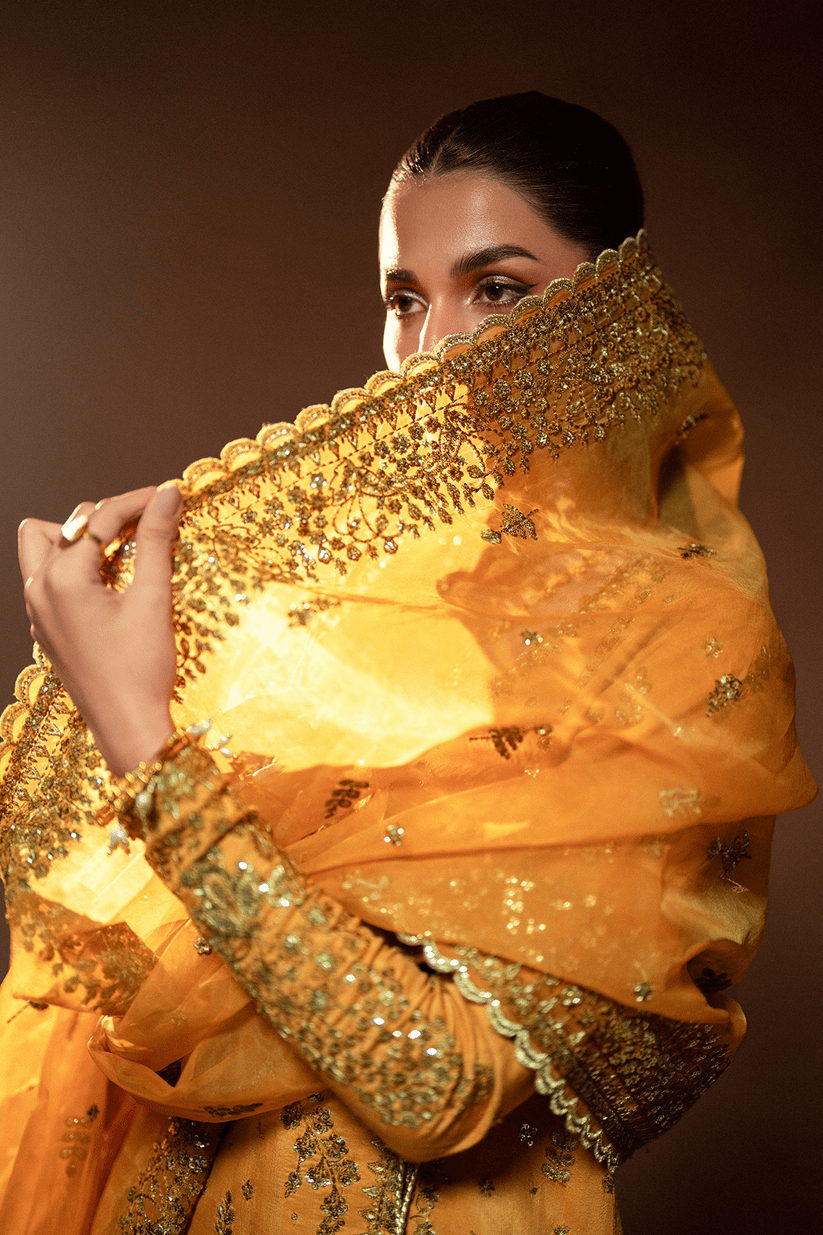 Emaan Adeel Selene Korean Raw Silk/Veloria