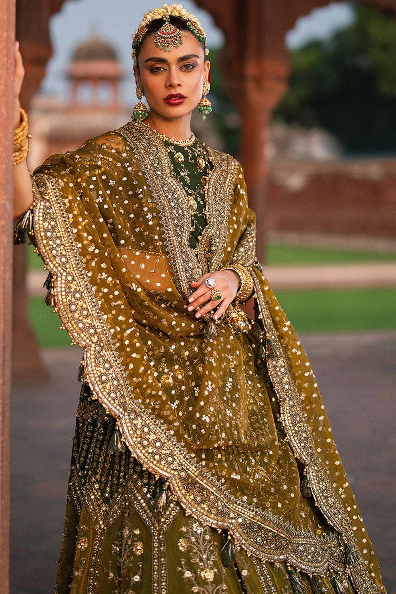 Mohsin Naveed Ranjha Chiffon Pakistani Suit Mohsin Naveed Ranjha 25/Makhfi/Shaadi Collection/Afsana/Green