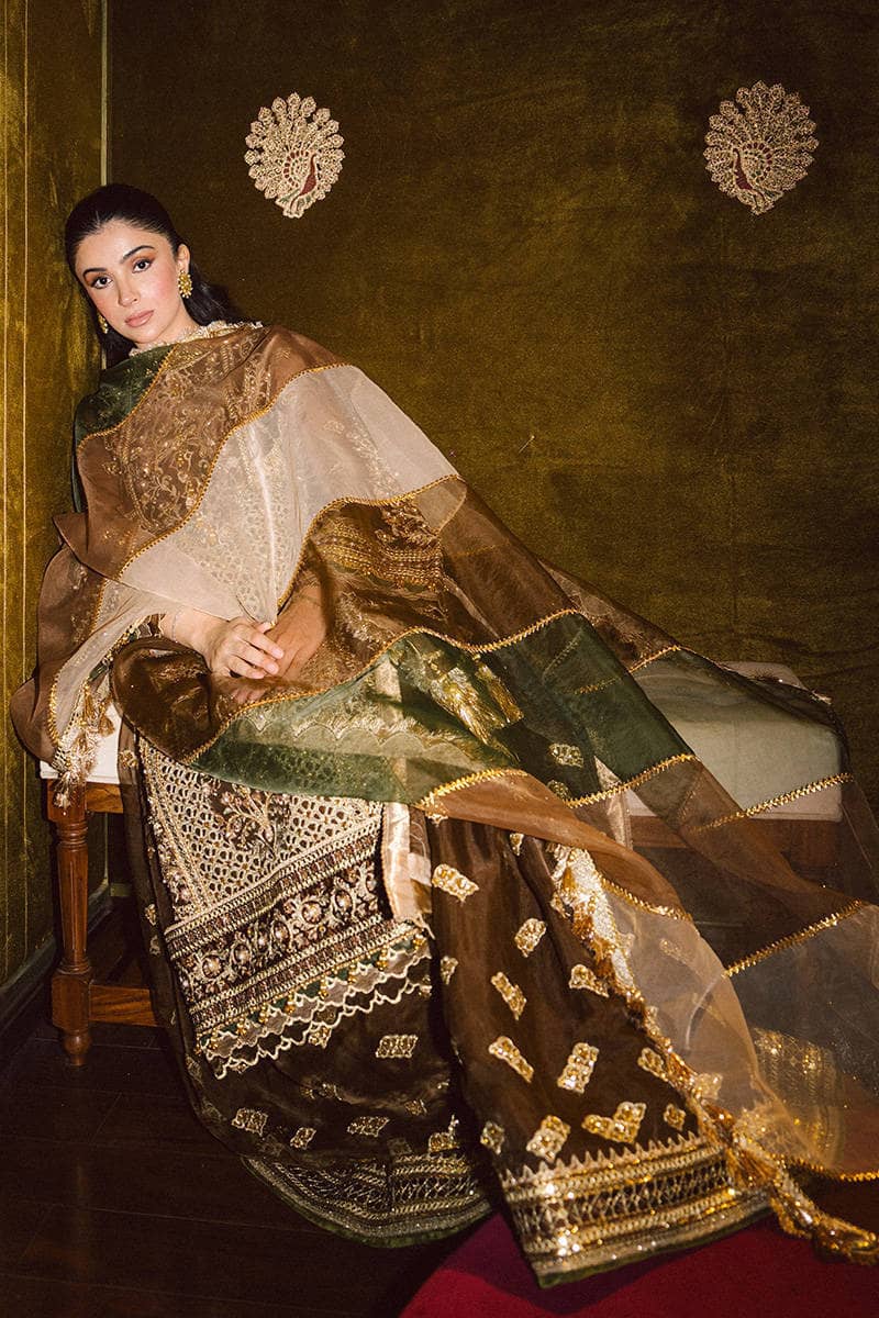 Mohsin Naveed Ranjha Chiffon Pakistani Suit Mohsin Naveed Ranjha 25/Makhfi/Shaadi Collection/Brown/Tabeer