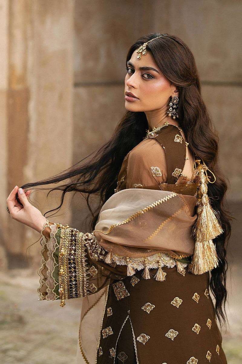 Mohsin Naveed Ranjha Chiffon Pakistani Suit Mohsin Naveed Ranjha 25/Makhfi/Shaadi Collection/Brown/Tabeer