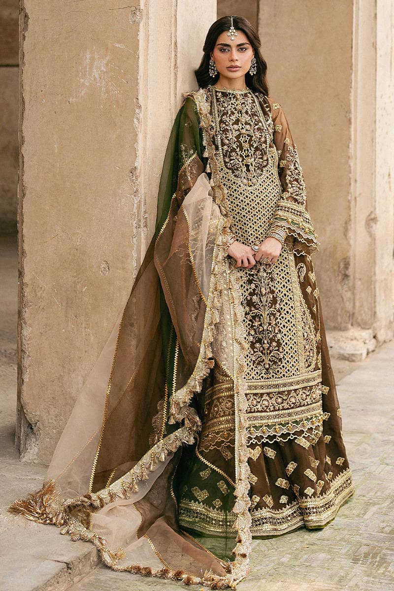 Mohsin Naveed Ranjha Chiffon Pakistani Suit Mohsin Naveed Ranjha 25/Makhfi/Shaadi Collection/Brown/Tabeer