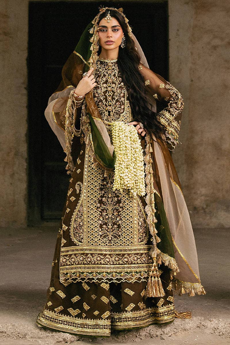 Mohsin Naveed Ranjha Chiffon Pakistani Suit Mohsin Naveed Ranjha 25/Makhfi/Shaadi Collection/Brown/Tabeer