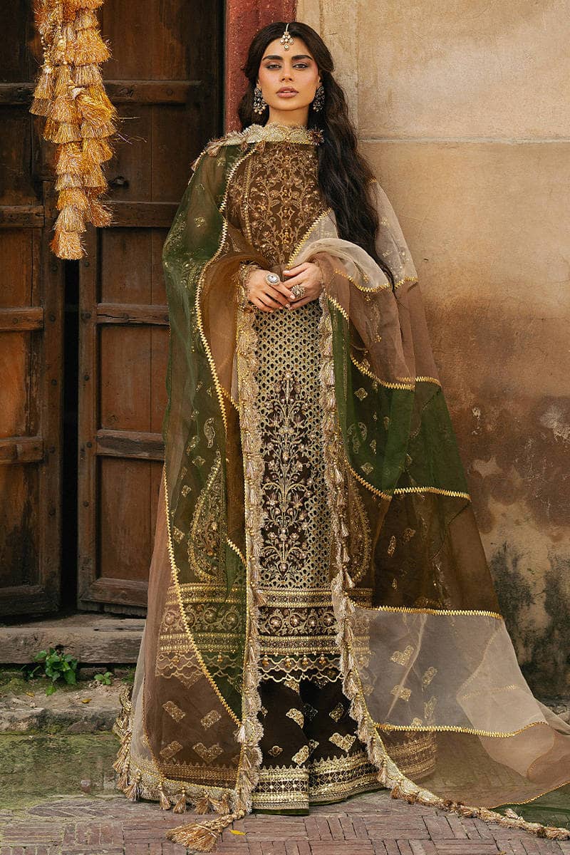 Mohsin Naveed Ranjha Chiffon Pakistani Suit Mohsin Naveed Ranjha 25/Makhfi/Shaadi Collection/Brown/Tabeer