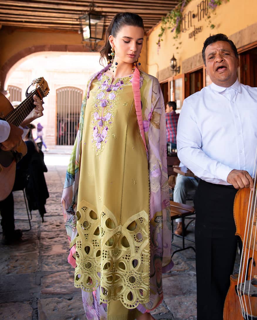 Mushq Hemline Odyssey 26/Aranza