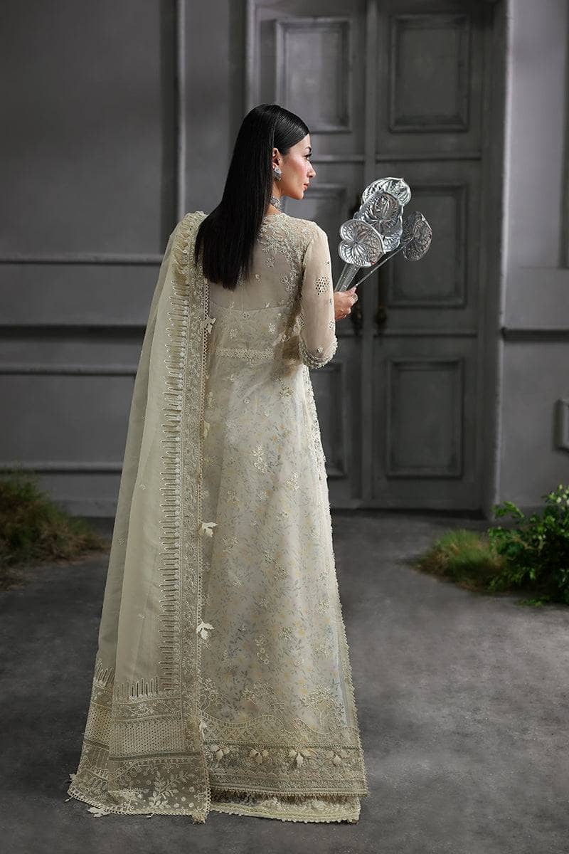 Qalamkar Elirah Wedding Formals 25/Hand Work/MF-06 IVARA