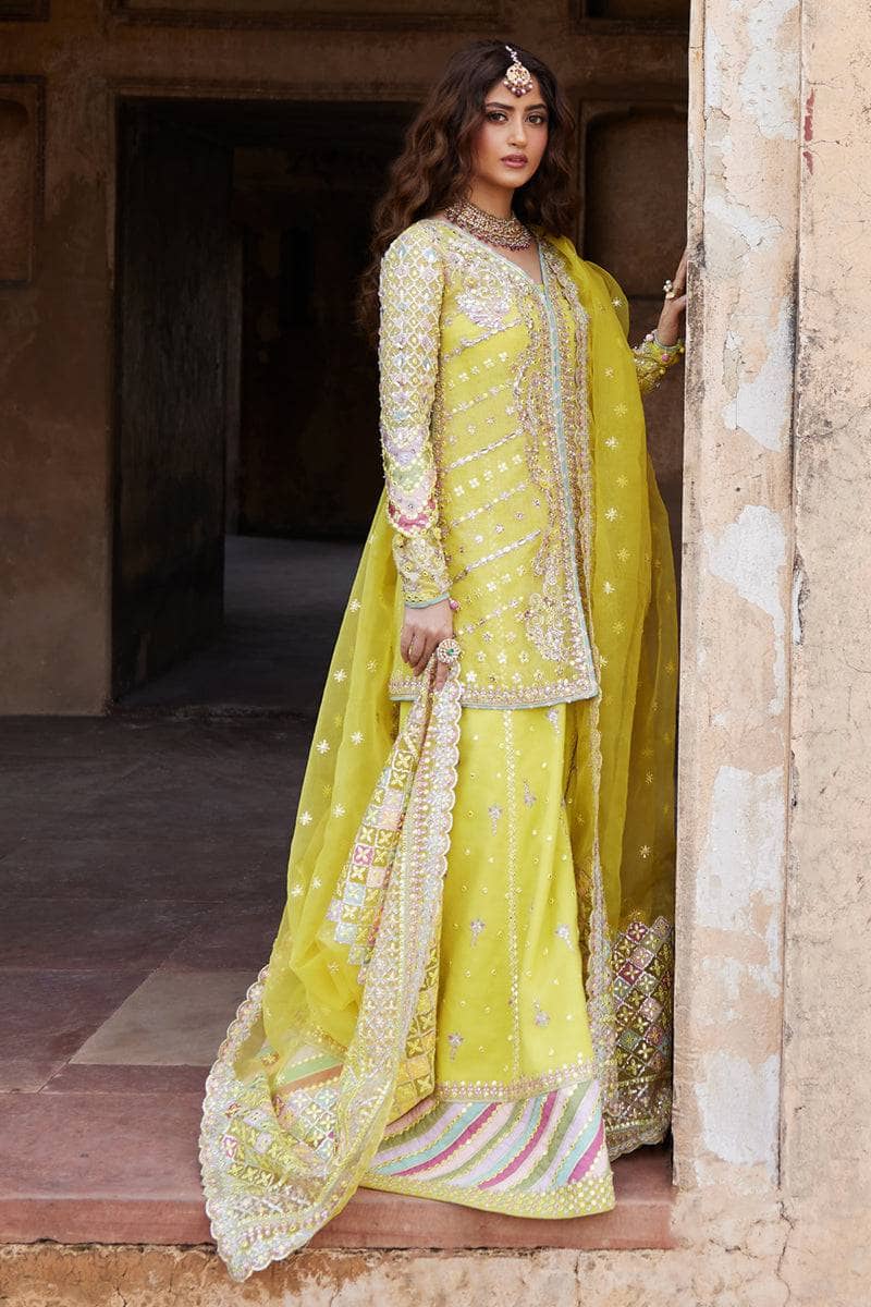 Qalamkar Chiffon Pakistani Suit Qalamkar Wedding Formals 24/Vol2/Dania SH-05
