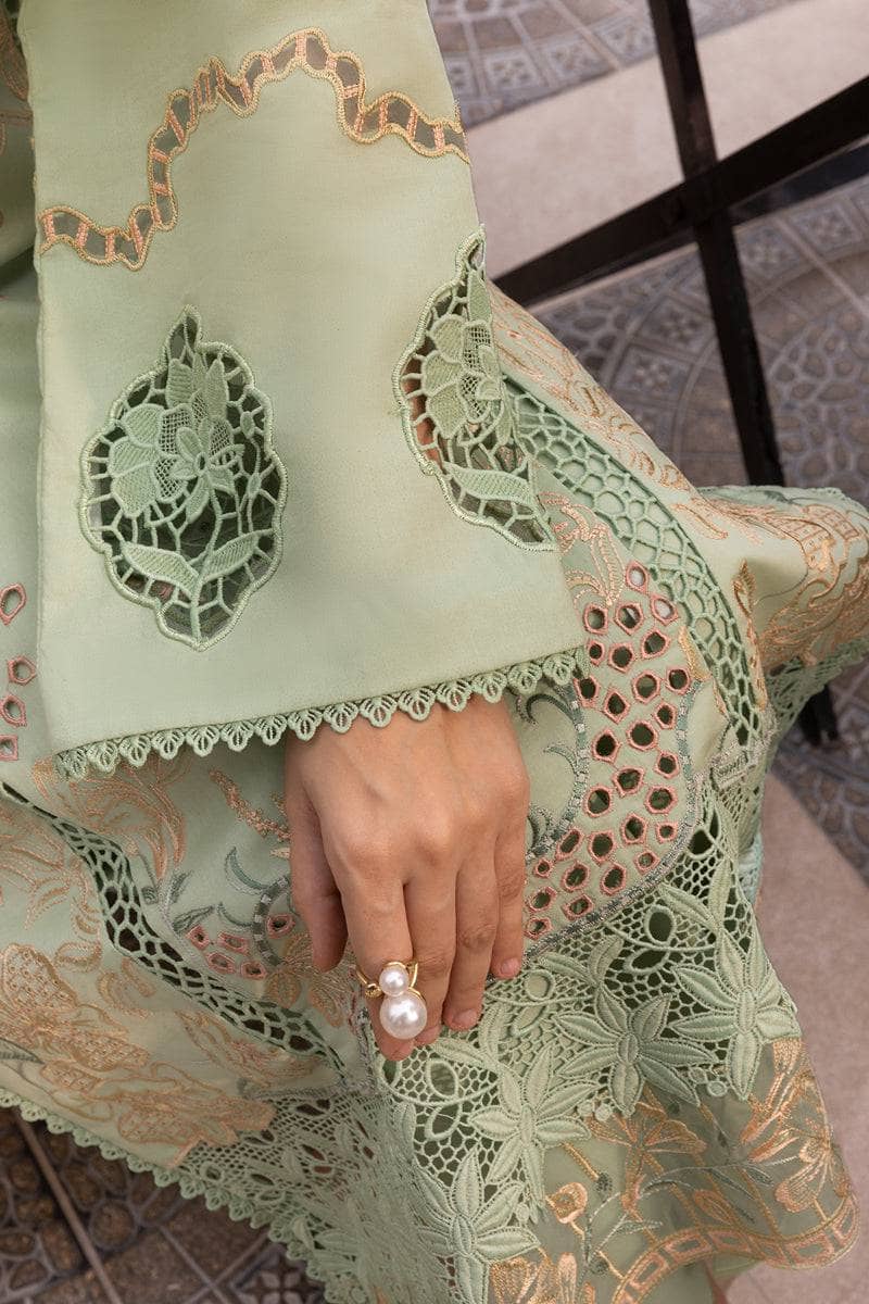 Rang Rasiya Carnation Lawn 25/Vol 2/02/Areha/Green/Silk Dupatta