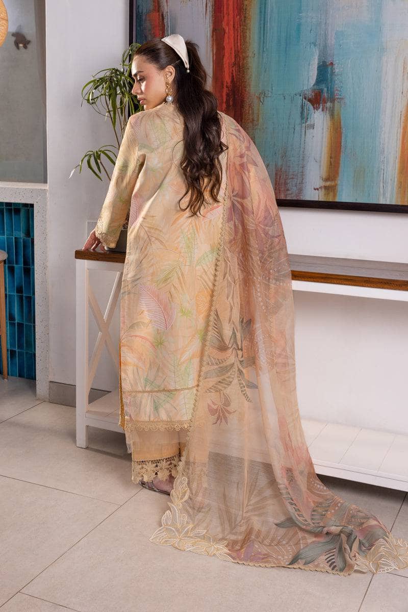 img_rang_rasiya_carnation_awwal_boutique