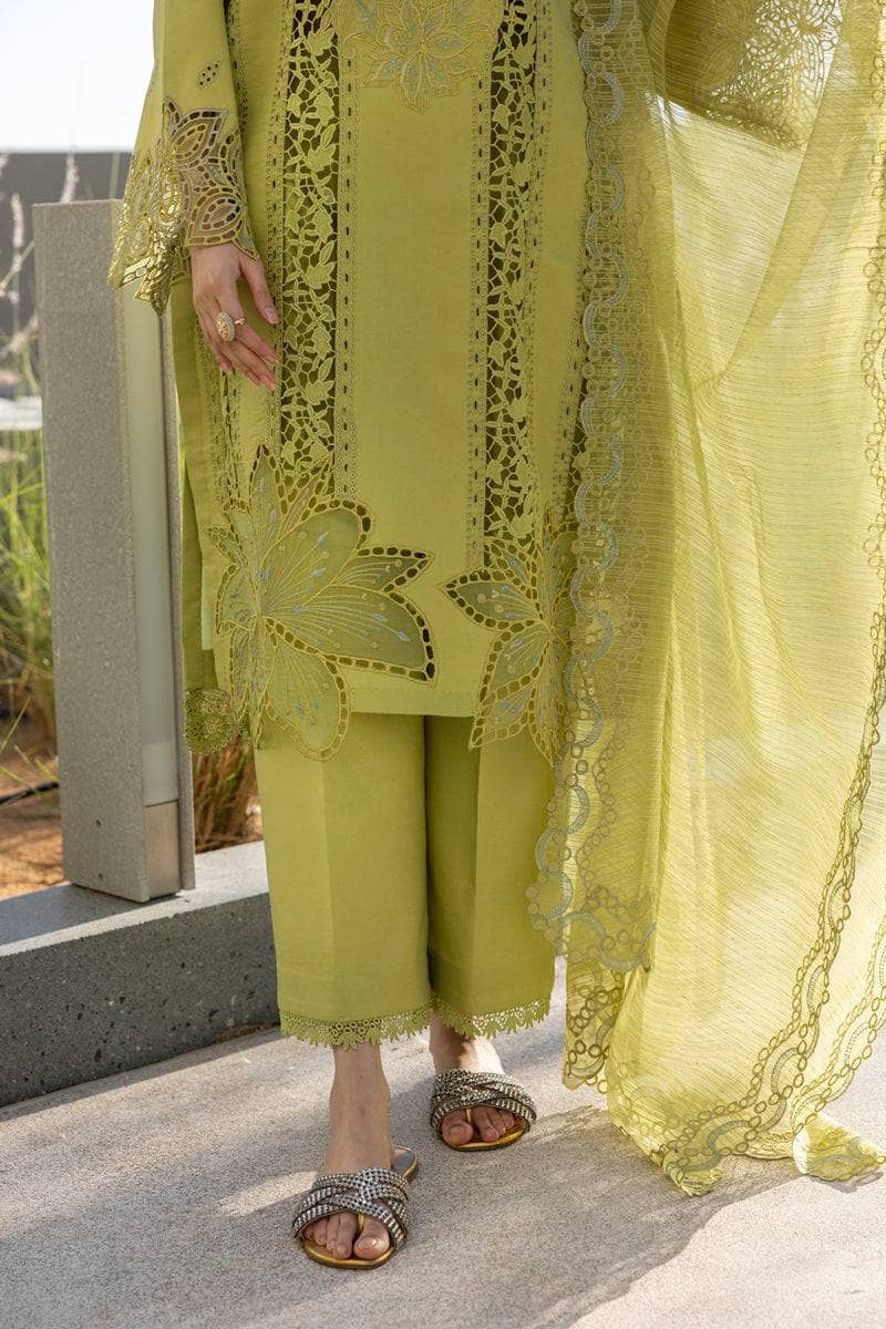 Rang Rasiya Carnation Lawn Pakistani Suits Restocked/Rang Rasiya Carnation Lawn/Aaleen/Parrot Green