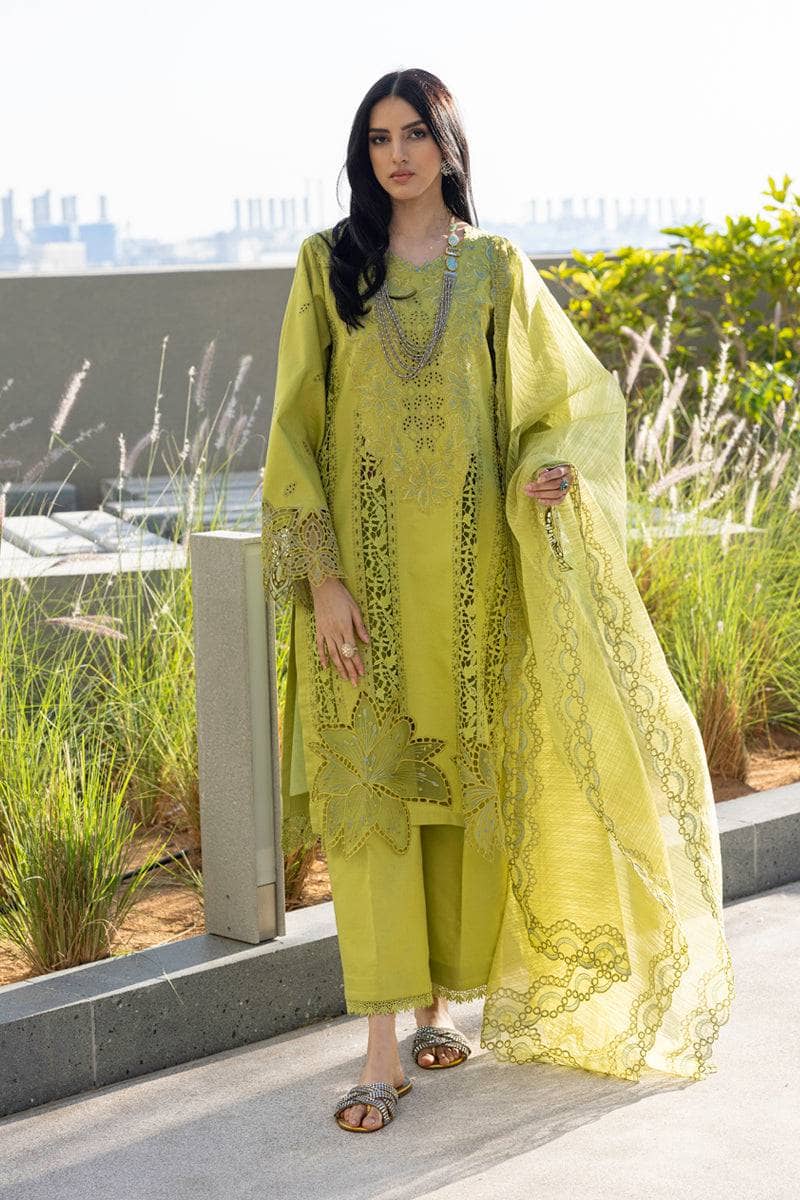 Rang Rasiya Carnation Lawn Pakistani Suits Restocked/Rang Rasiya Carnation Lawn/Aaleen/Parrot Green