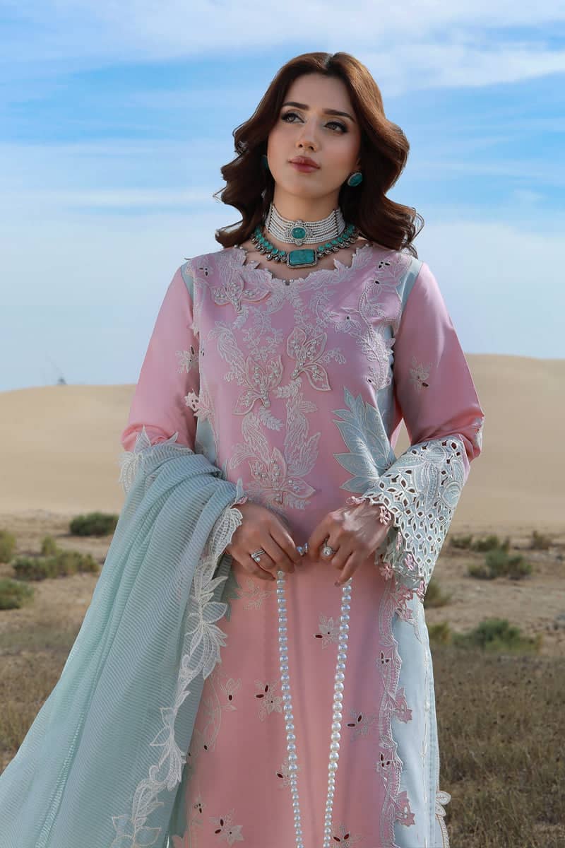 Restocked/Rang Rasiya Premium 26/Mahsa/Powdered Sky