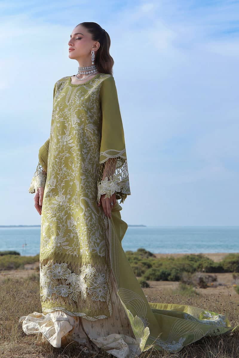 Restocked/Rang Rasiya Premium 26/Zariah/Olive