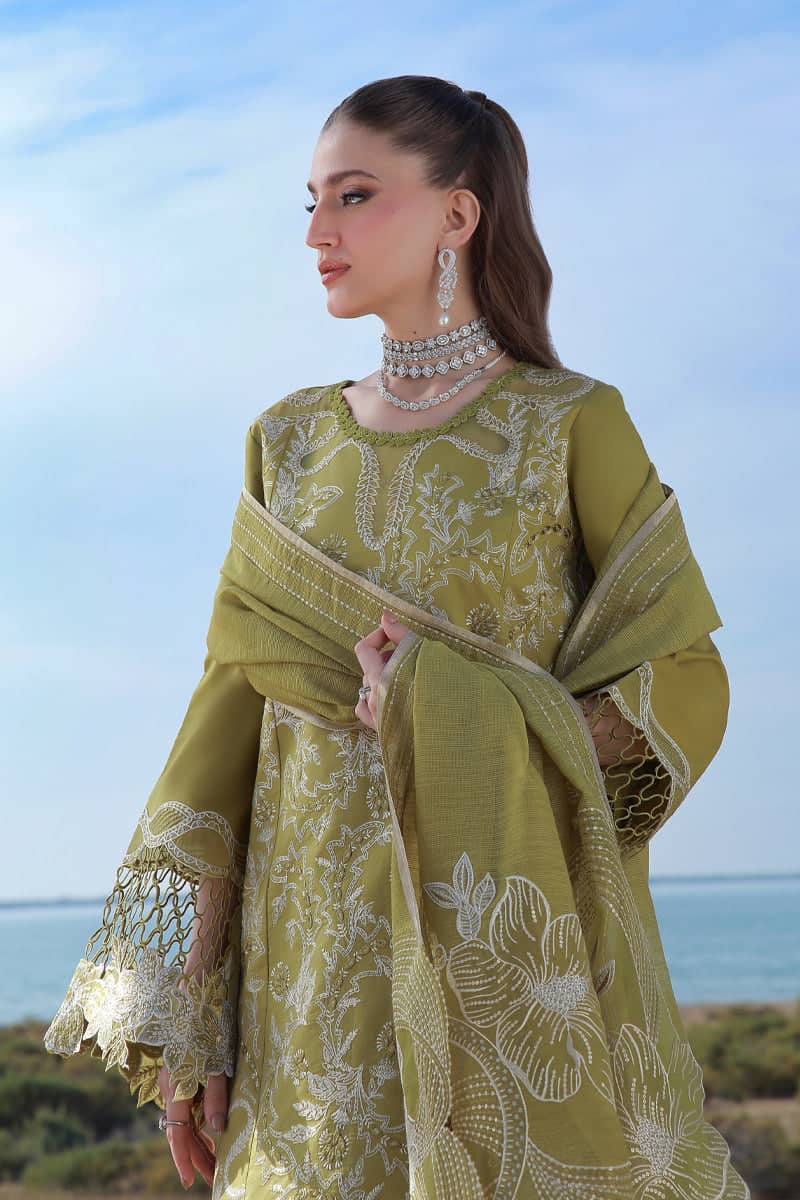 Restocked/Rang Rasiya Premium 26/Zariah/Olive