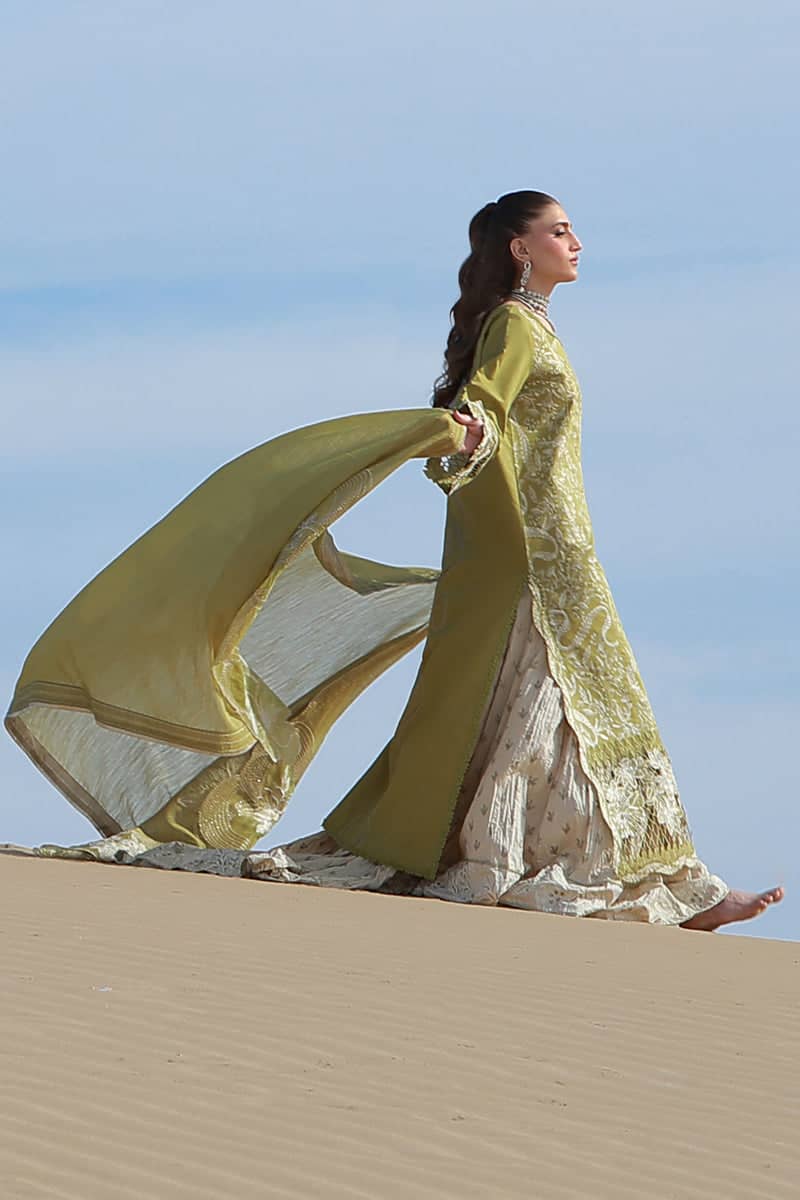 Restocked/Rang Rasiya Premium 26/Zariah/Olive