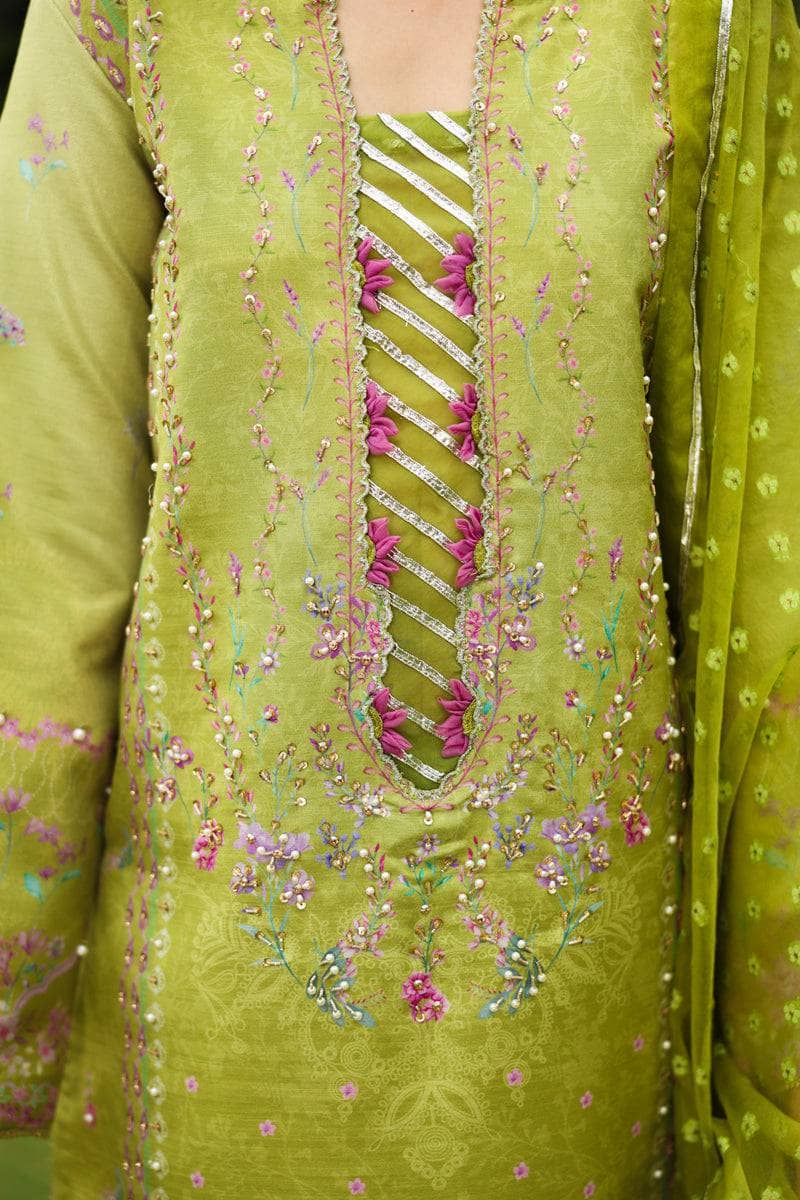 Rang Rasiya Luxe Silk/Hand Work/Radin/Aloe