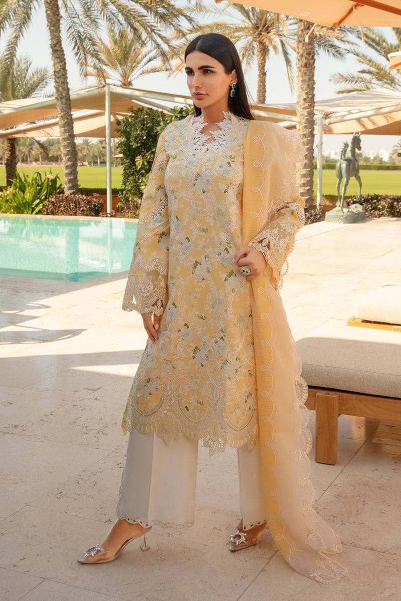 img_rang_rasiya_carnation_awwal_boutique