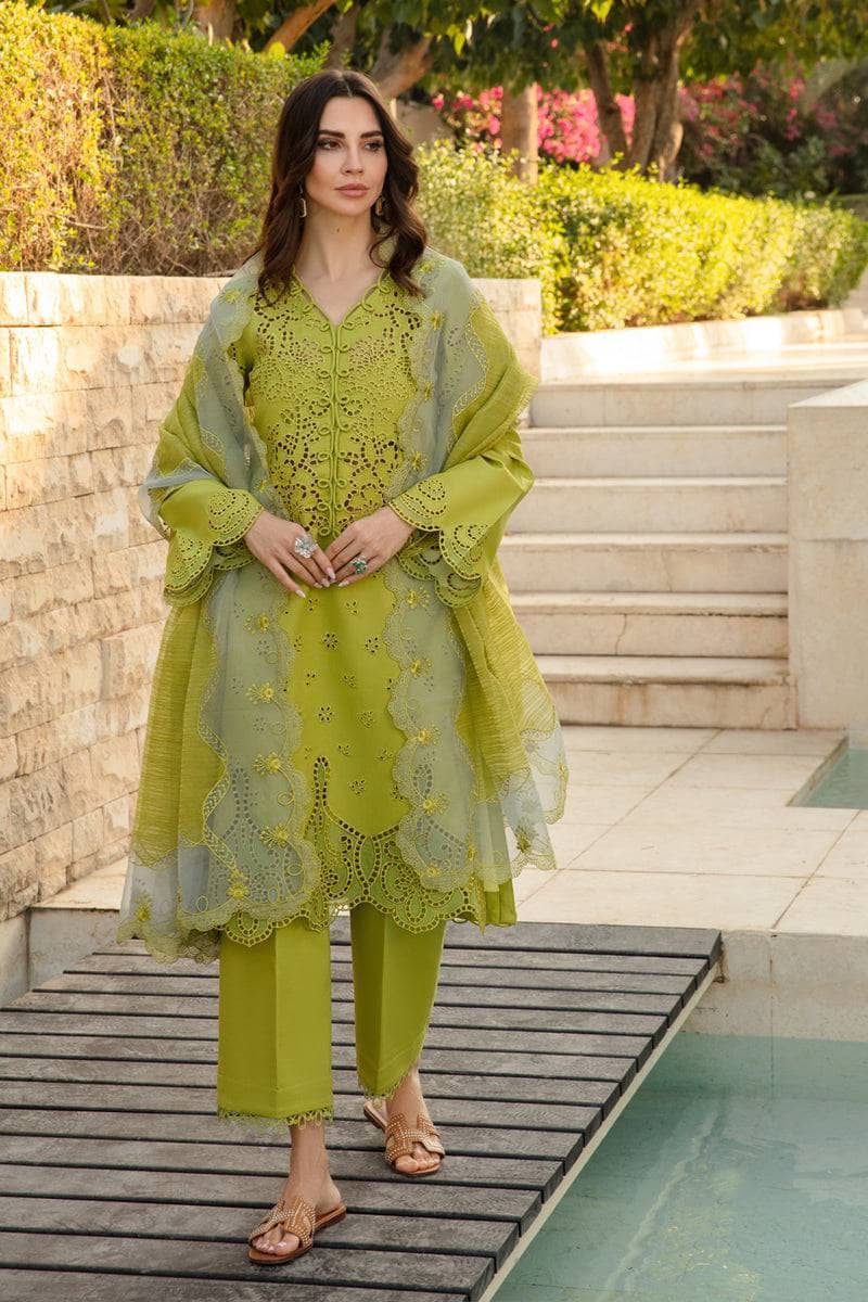 img_rang_rasiya_carnation_awwal_boutique