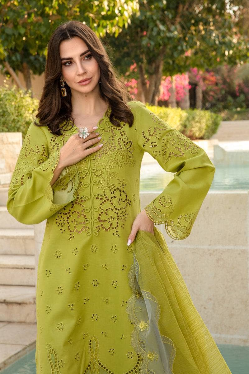 img_rang_rasiya_carnation_awwal_boutique