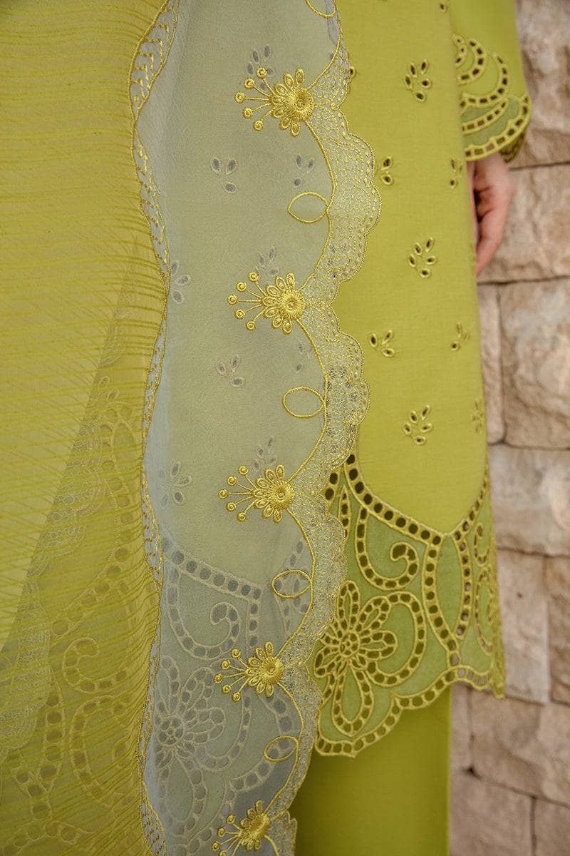 img_rang_rasiya_carnation_awwal_boutique