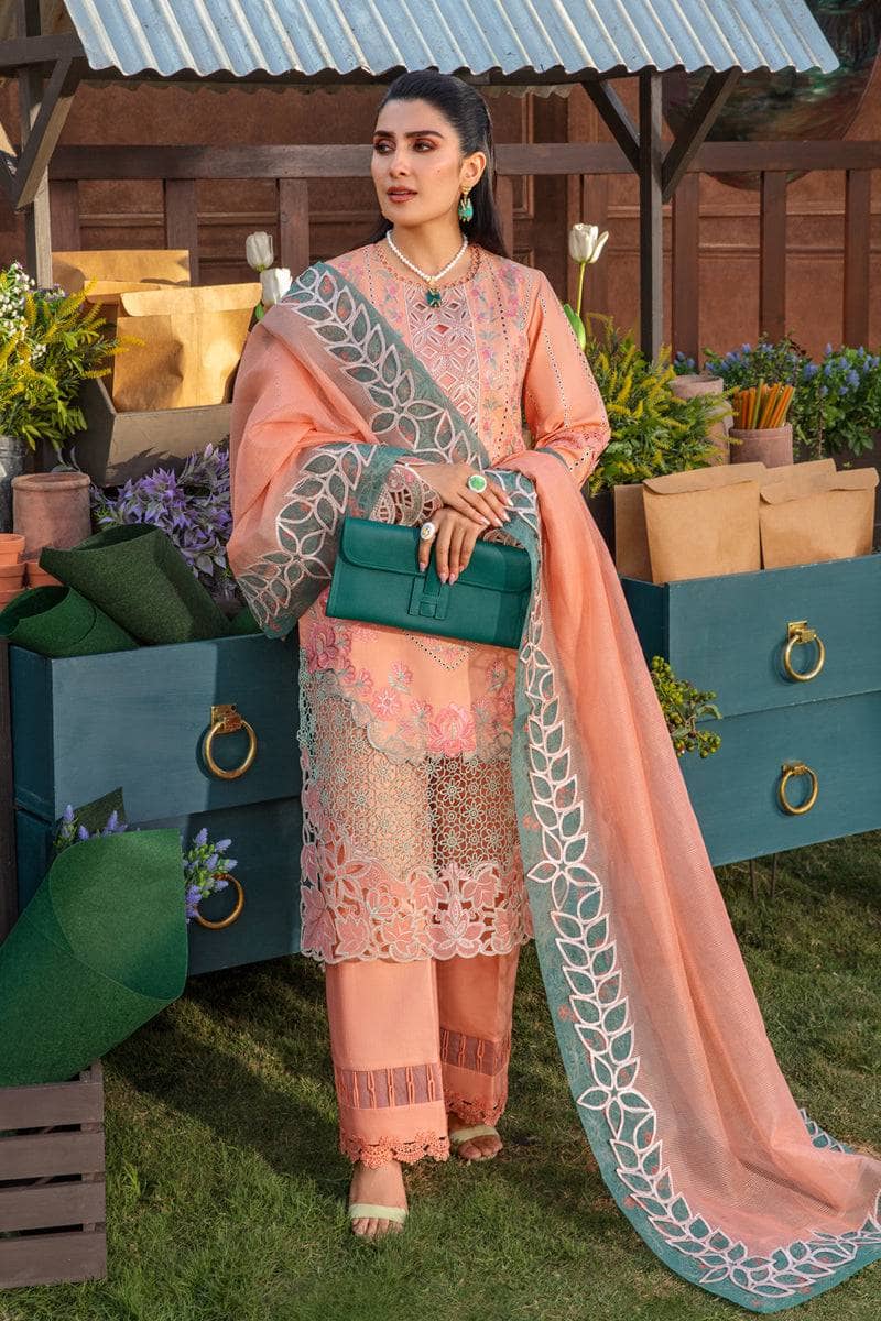 img_rang_rasiya_eid_collection_awwal_boutique