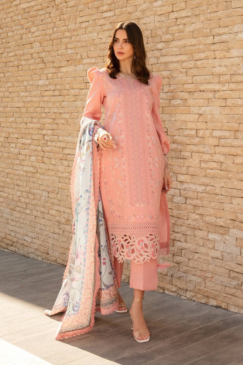 img_rang_rasiya_carnation_awwal_boutique