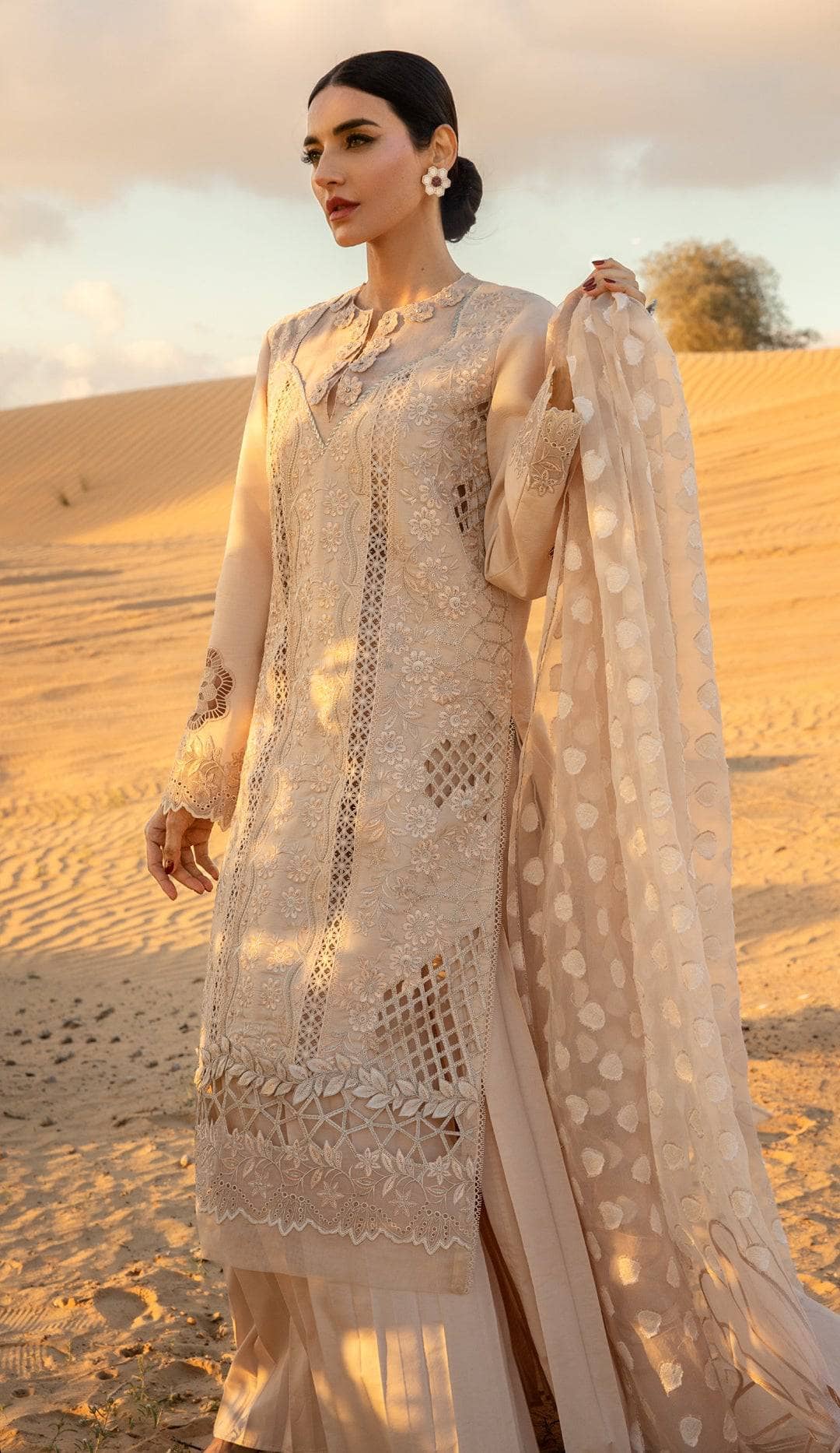 img_rang_rasiya_premium_lawn_24_awwal_boutique