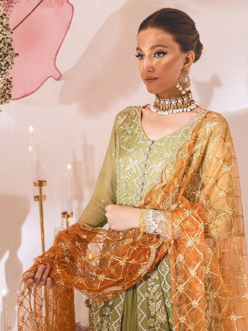 img_roheenaz_luxury_chiffon_awwal_boutique