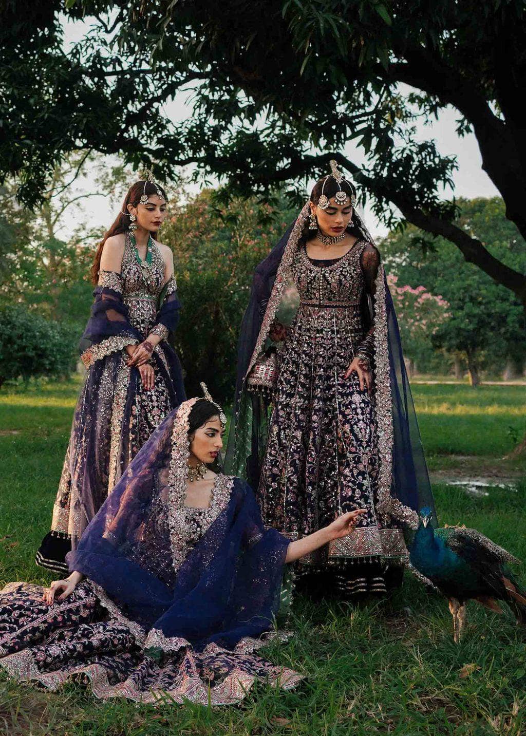 img_zaib_un_nisa_by_hussain_rehar_awwal_boutique