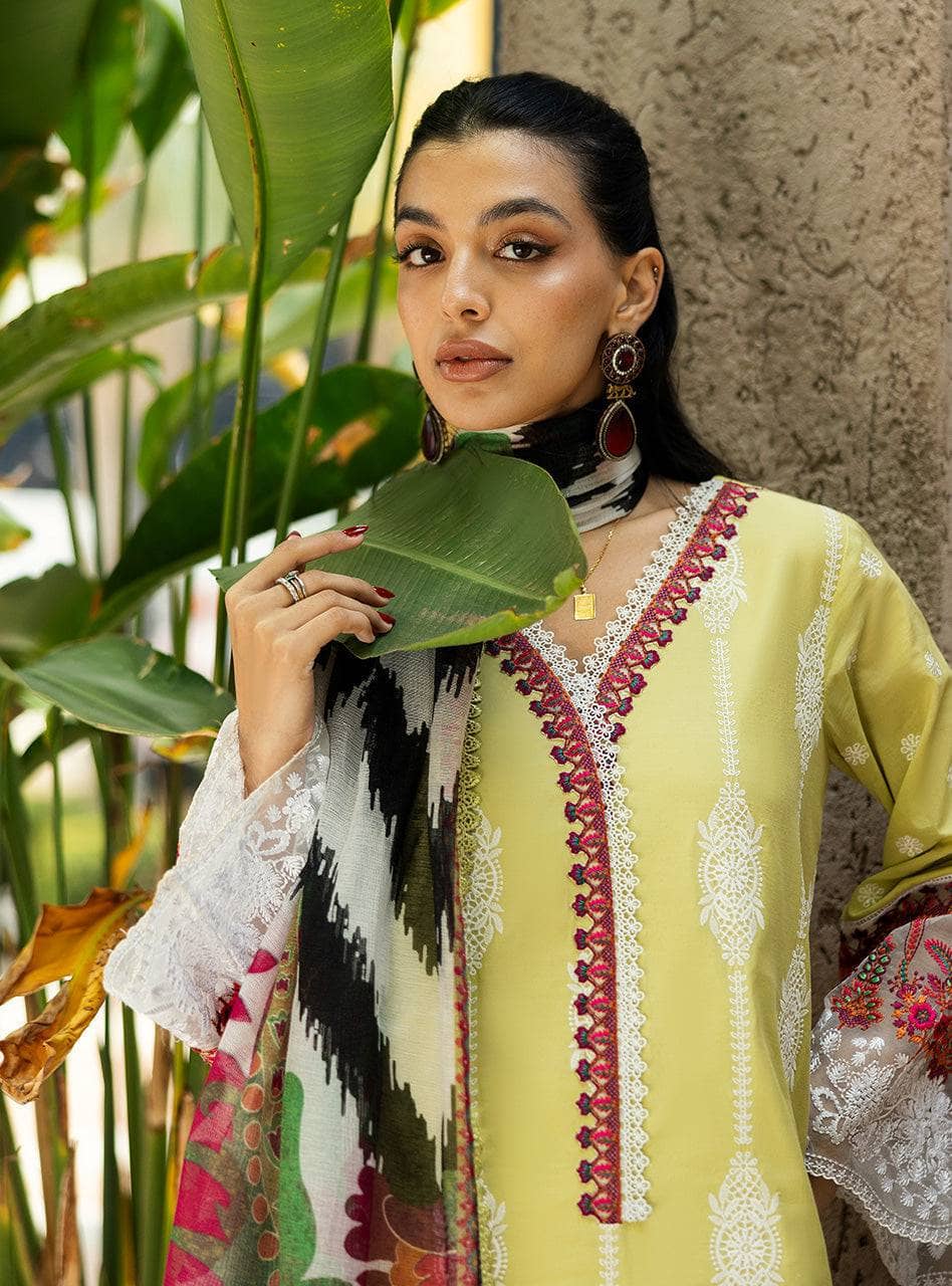 Zainab Chottani Lawn Pakistani Suit Zainab Chottani Chikankari Lawn 25/Rayne-12A