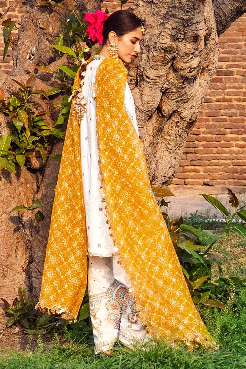 img_mohsin_naveed_ranjha_nau_bahaar_awwal_boutique