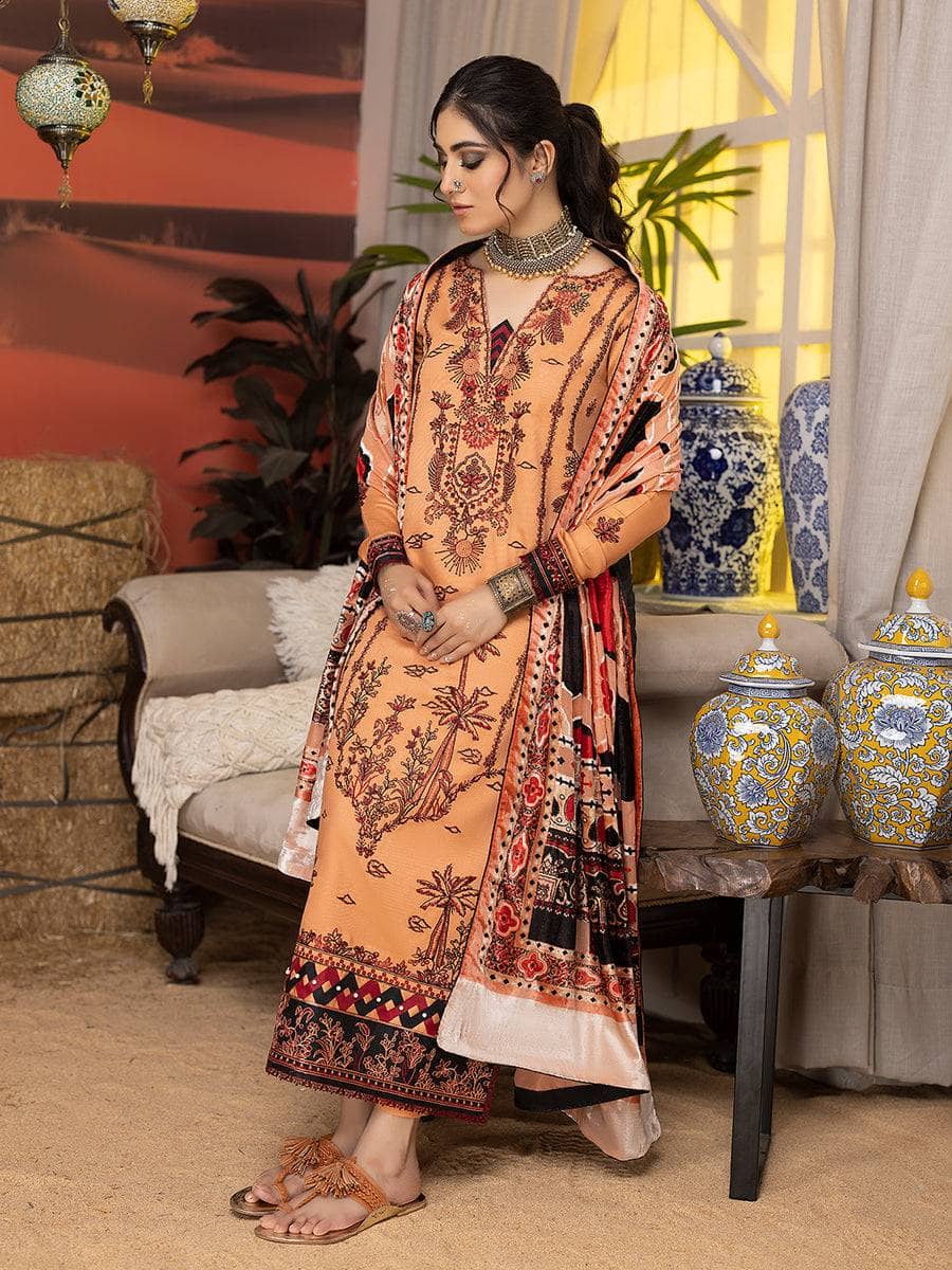 Esha Eshal by Bin Ilyas/Winter Edit 1/Palachi Shawl