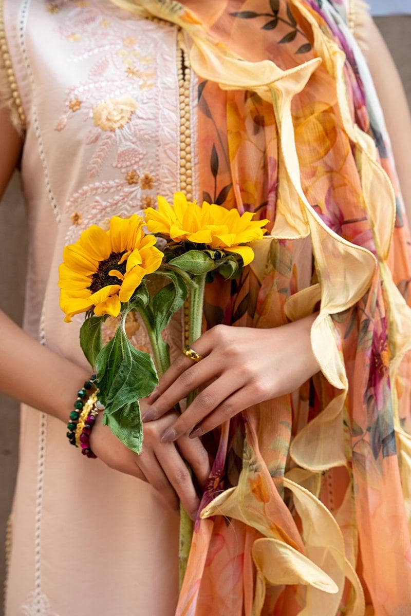 img_mushq_hemline_23_awwal_boutique