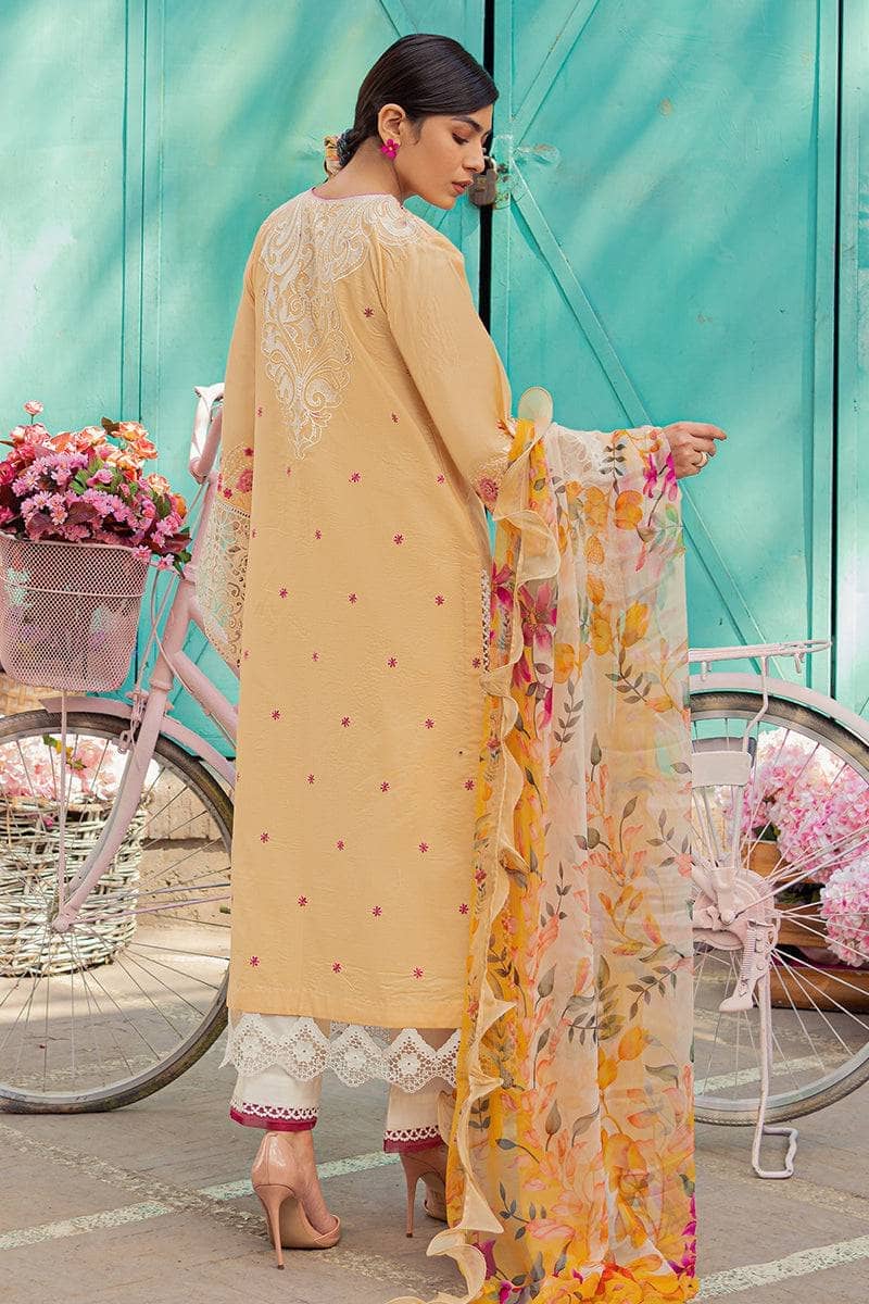 img_mushq_hemline_23_awwal_boutique