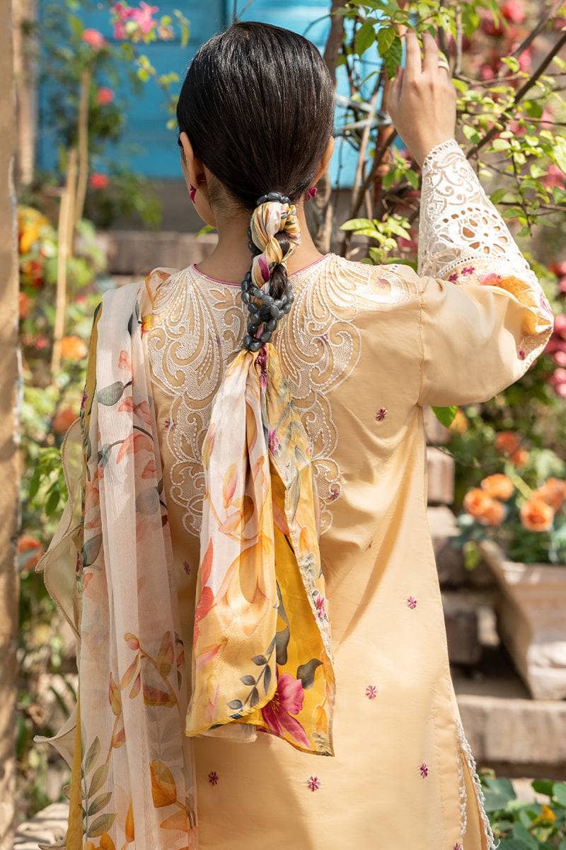 img_mushq_hemline_23_awwal_boutique