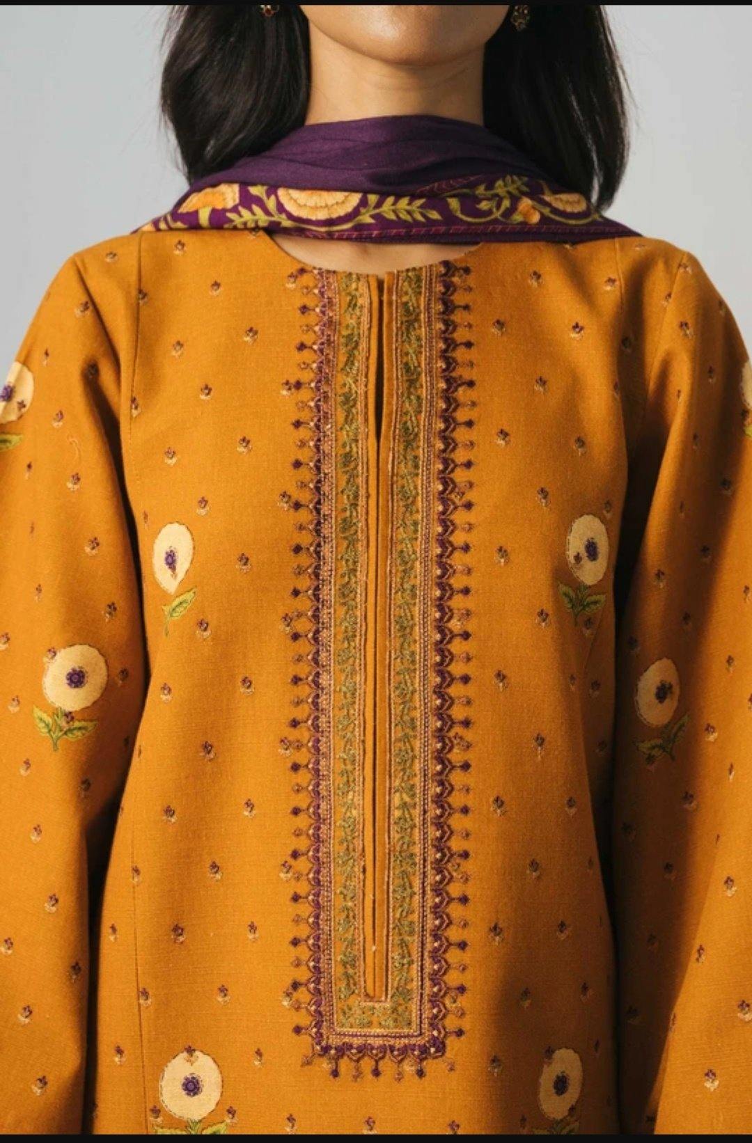 img_coco_winter_by_zara_shahjahan_awwal_boutique