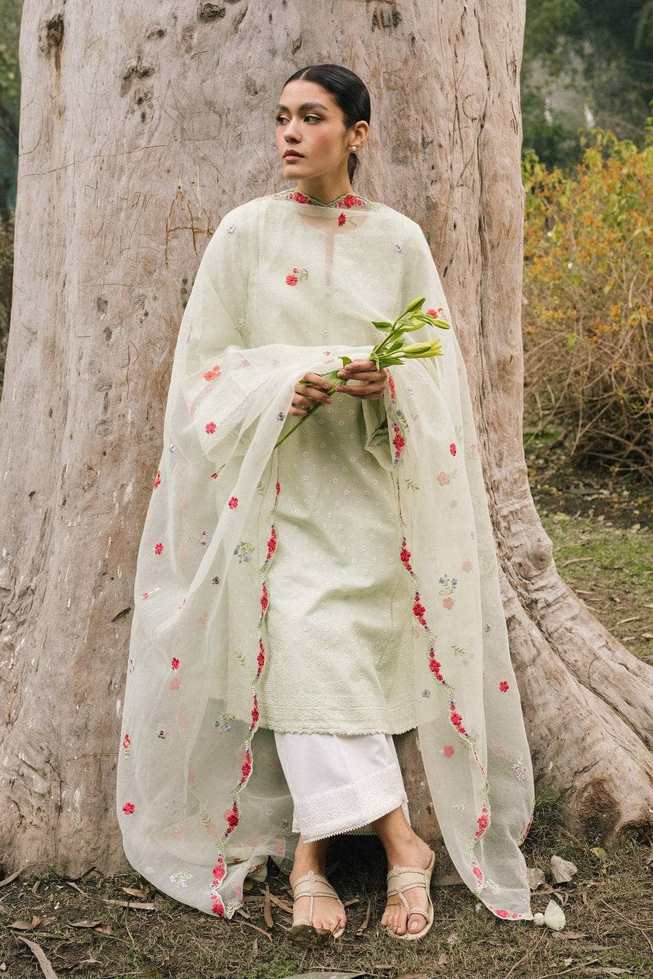 Restocked/Coco Lawn 2022/Z22- 6 B