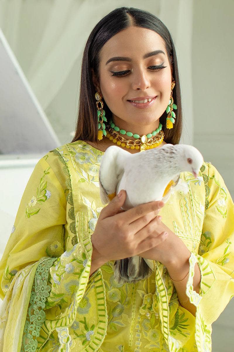 img_ansab_jahangir_lawn_22_awwal_boutique