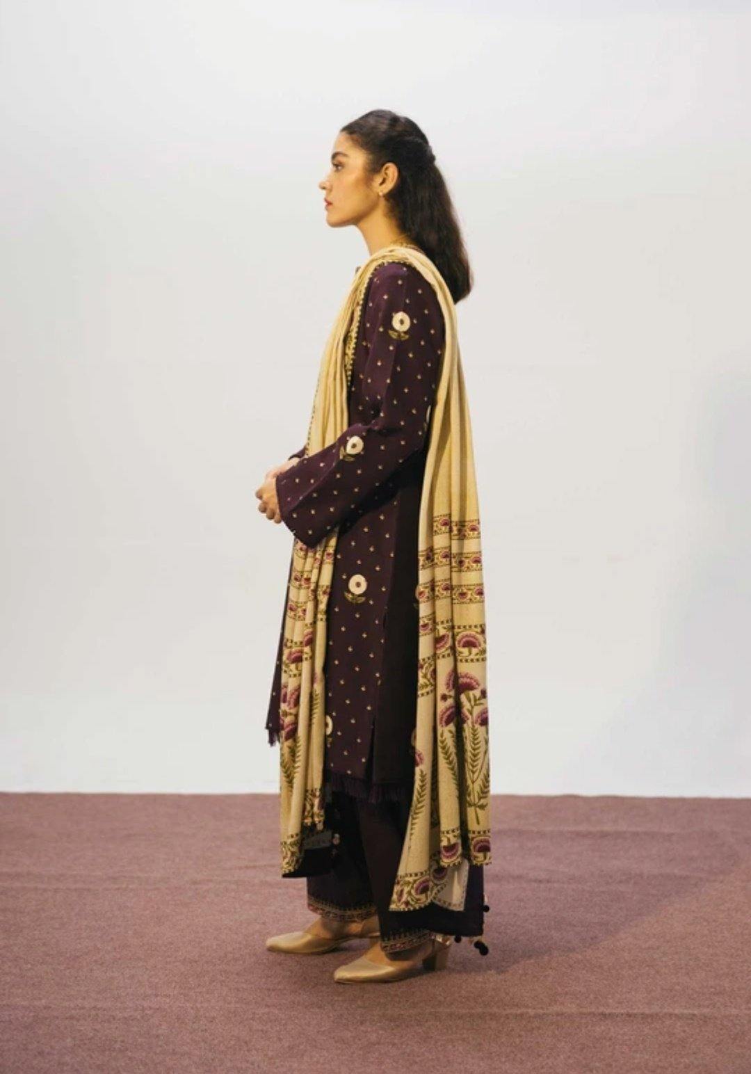 img_coco_winter_by_zara_shahjahan_awwal_boutique